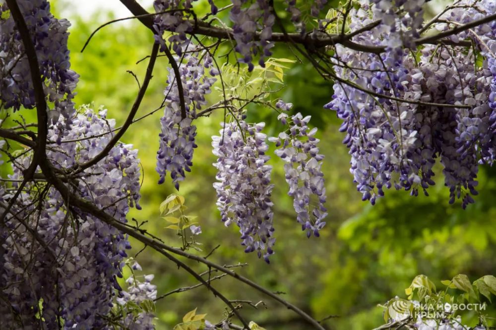 ������ �� ����� ����������� ������