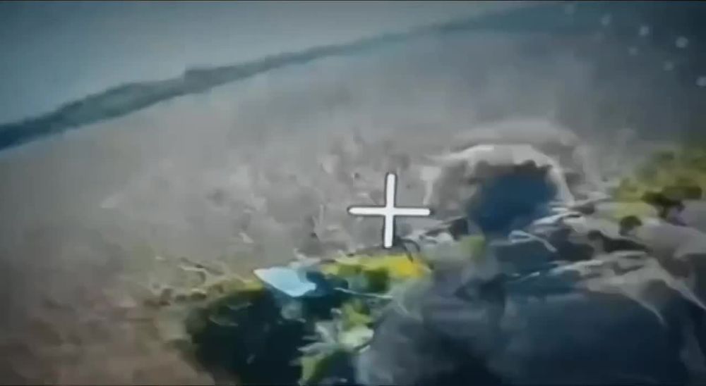 ��� ������� ���� �����. ��������-����� ���������� �������