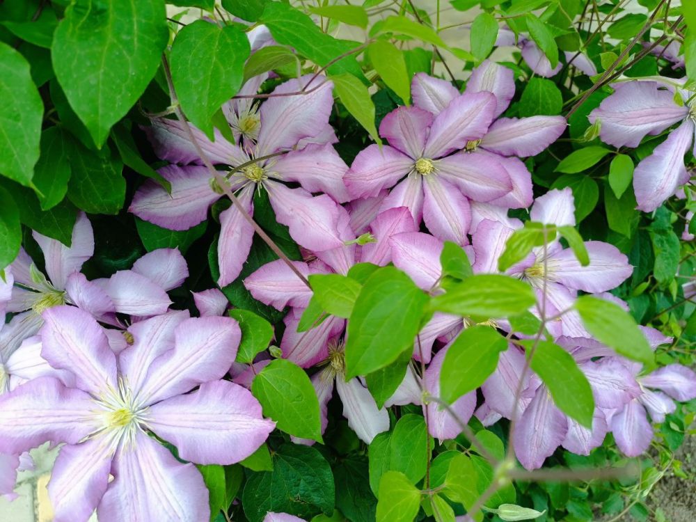 ������ � ���� ���� ������� ��������� ������� �����...�