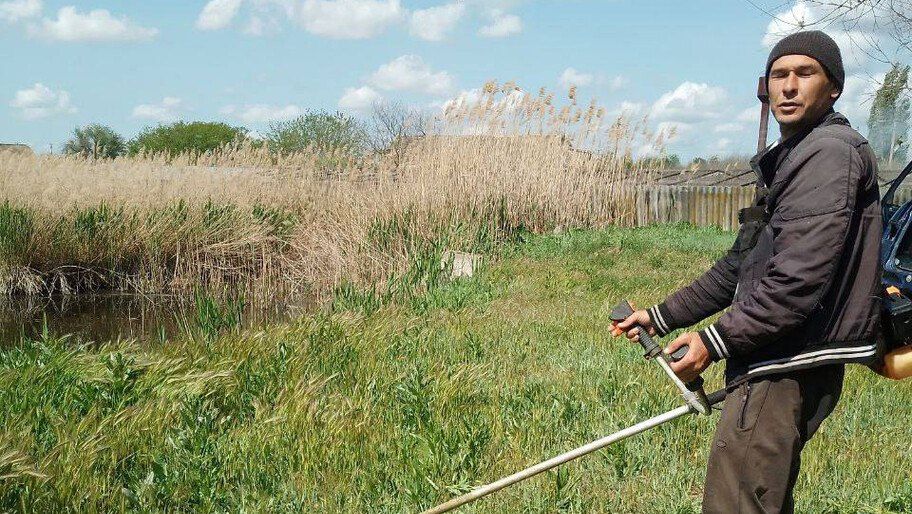 ���������� ���������������� ������� ������� ��������������� ������ ����