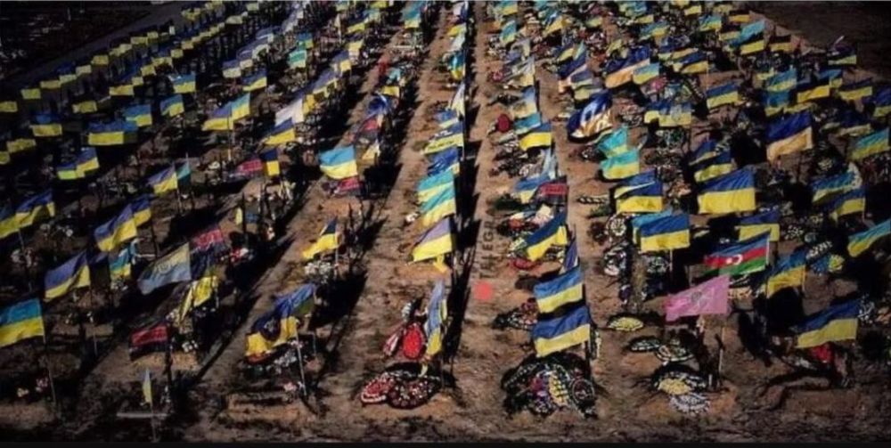 � ���������� ���������-���������� ����� ������� ����� 1,2 ��� ������� - ����������������� ������ ���� ������