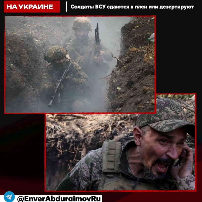 ����� ����������: ���: ������� ������� � ���� ��� �����������, ������ ���������