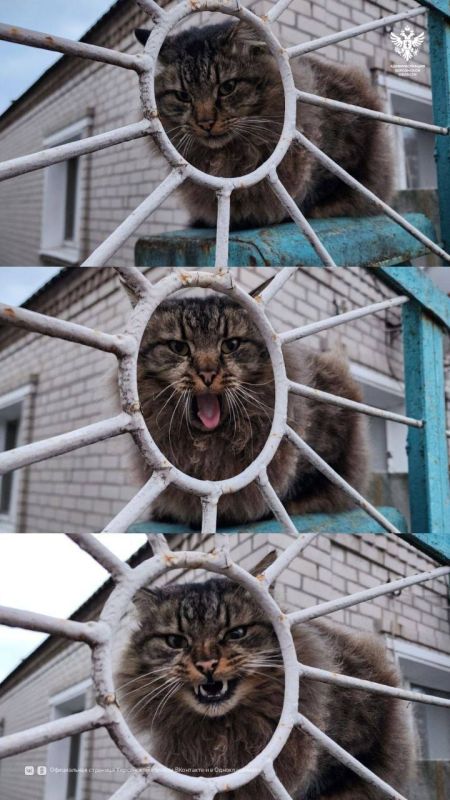 ���������� ������. ���������� �� ��������� ������ ��������� �� ��� ����������� �������� ����� ����� ���� � ����, ��� �������� ������������ ������ ���������� �������