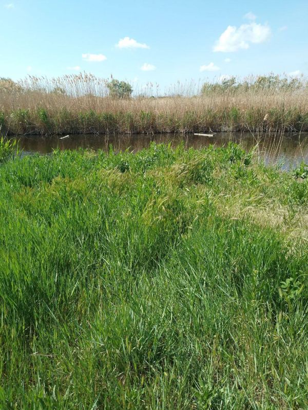 ���������� ���������������� ������� ������� ��������������� ������ ����