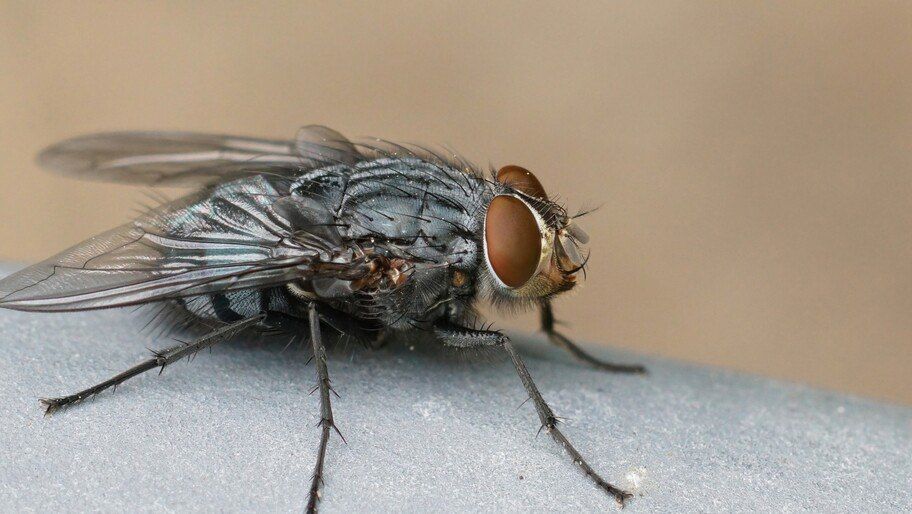 ���� � ���� � ������ 65 ��������! ������ ���������, ��� �������� � ����������