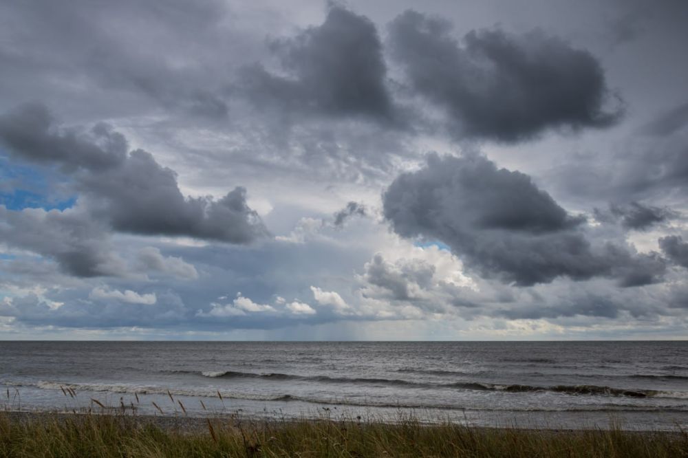 � ���������� ������������� ������ 29 ��� ����� ��������