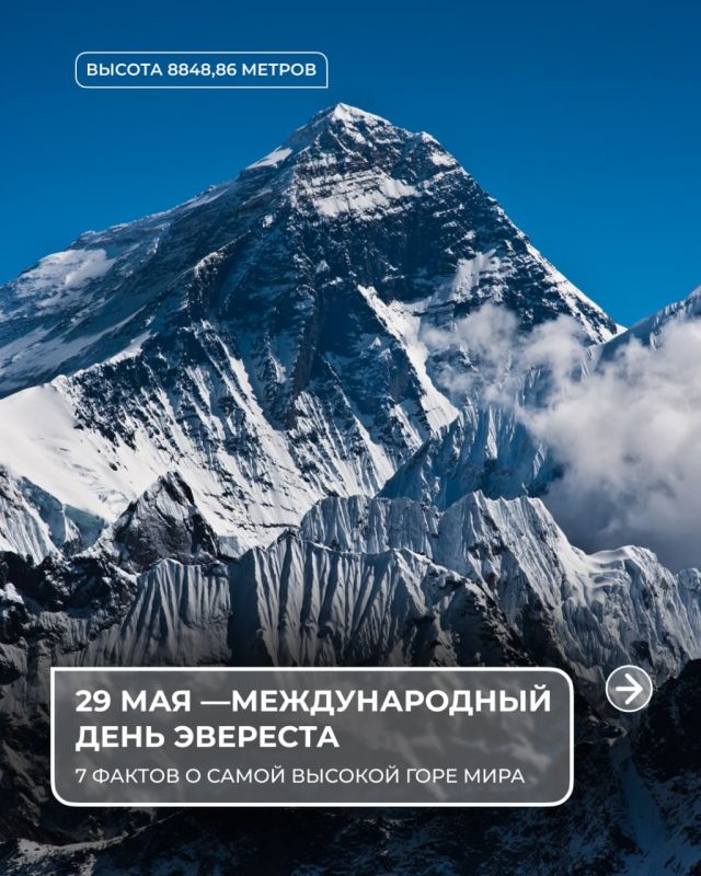 ������������� ���� �������� �������� ���������� 29 ���