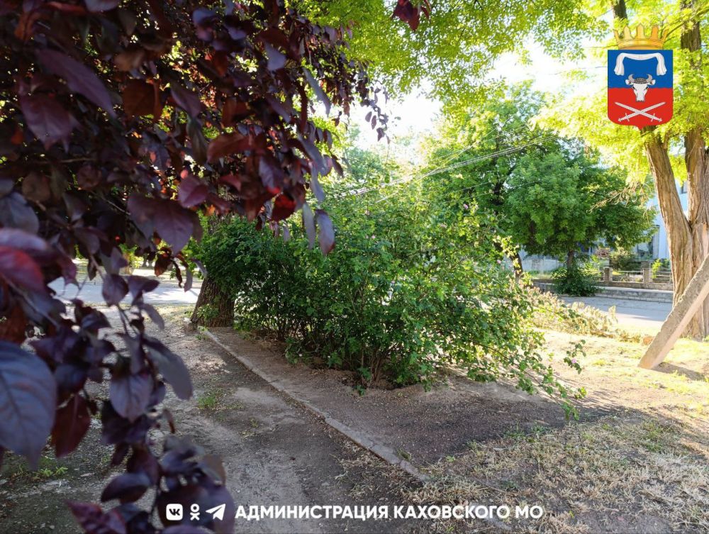 ������ ����, ������ ���������� �������������� ������!