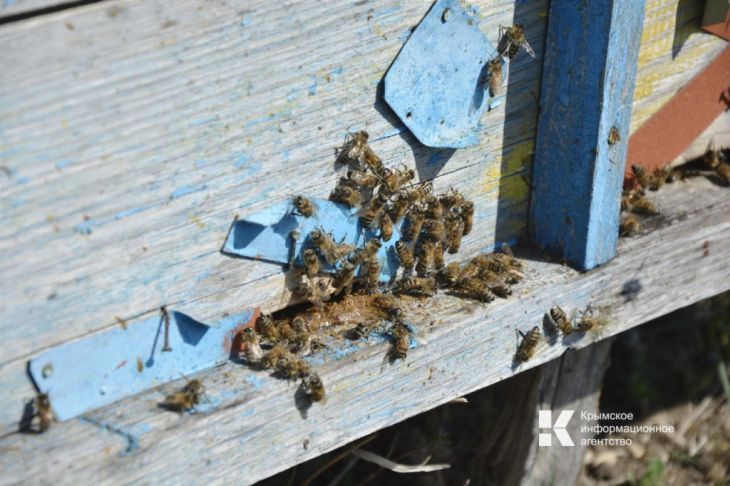 �������� �������� ��� ������� �� ������ ��� � ���� ����