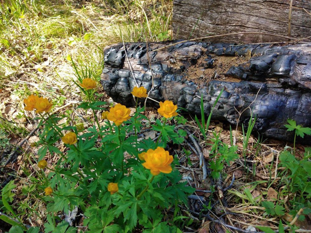 ����� ����������: #����������������. #�������������������