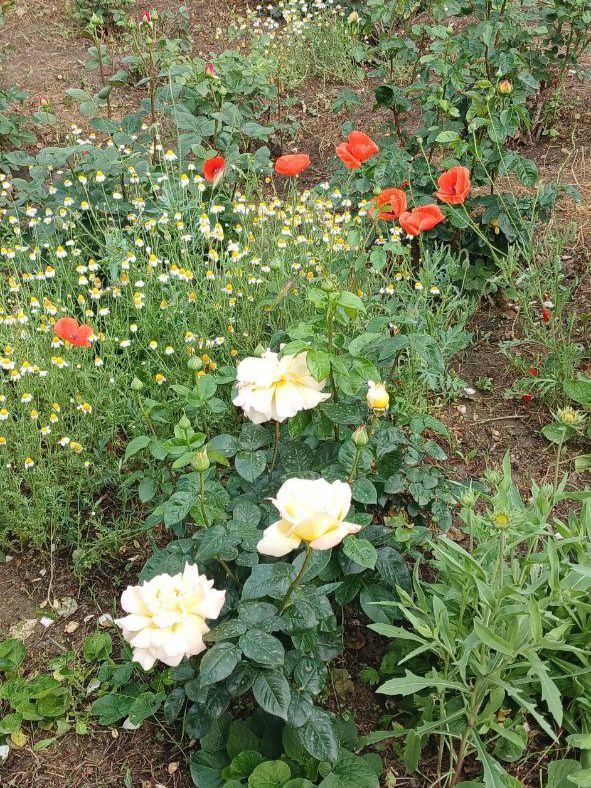 ��, ����, �� ��� ���������!