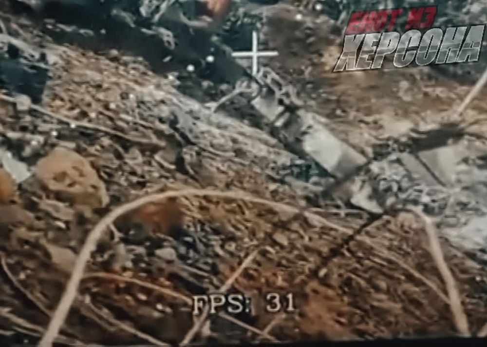 ���� �� �������: ���������� �������� �� ���� ������ ����������