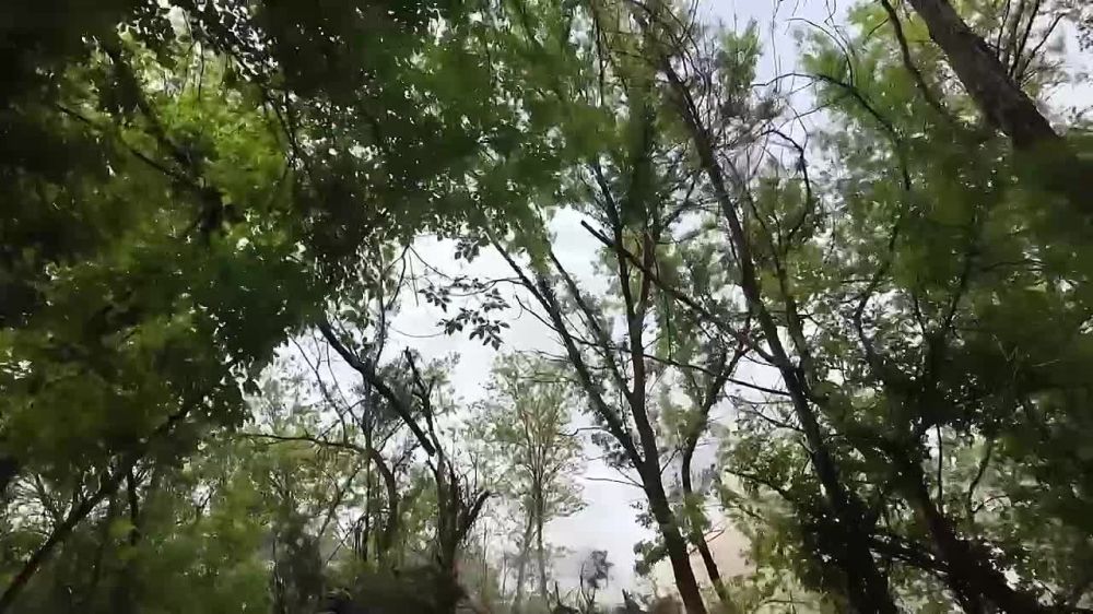 ���� �� �������: �������������� ������� 152-�� ������ ��������-�� ���������� ����������� ���������� ������ � ����� ���������� ���� ��� �� ������ ������ ������ � ���������� �������