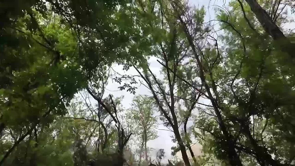 �������������� ������������� ����������� "�����" ������� ������������� ��������� �������������� ��������� �� ������ ������