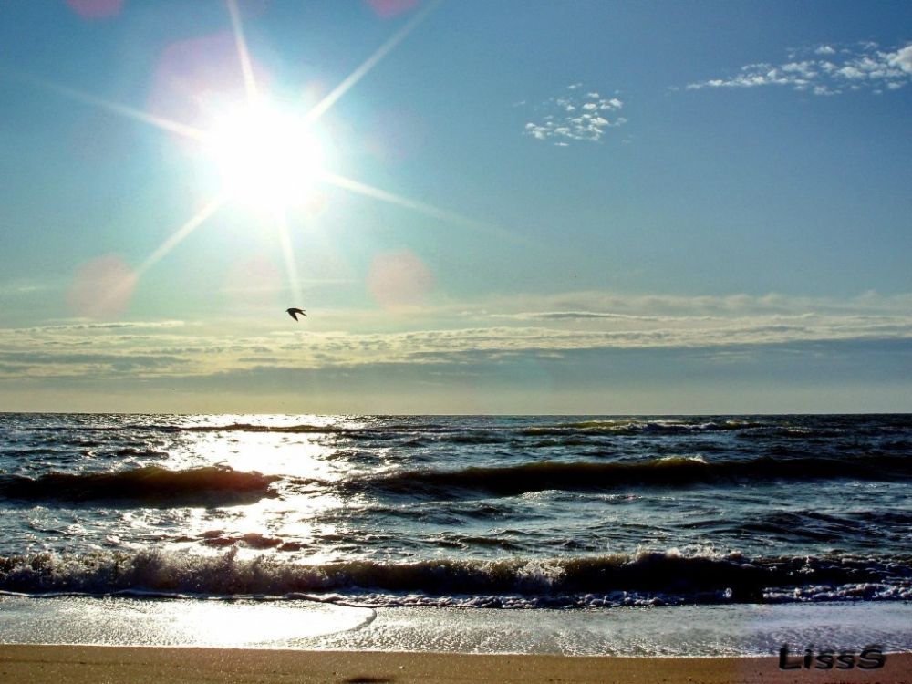 � ���������� ������������� ������ 30 ��� ����� ��������