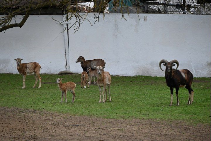 ���� � ������� ��������-���� 1 ���� ����� ���������� ��� ����� �� 16 ���