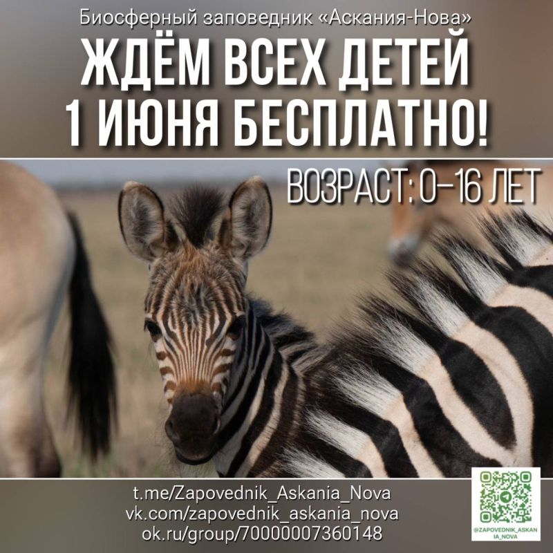 � ����� ����� ��� ���������� ���� � ������� ����� �� 16 ���