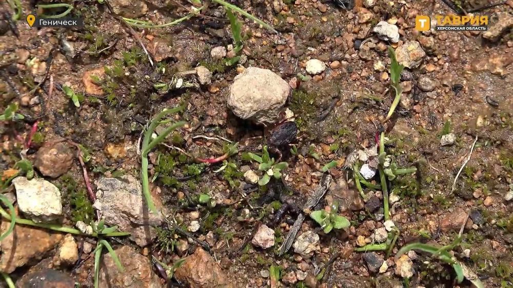 � ��������� ��� ����� ����� ��������� �.�. ����������� ��������� �� �����������-��������������� ������ ���������� ���