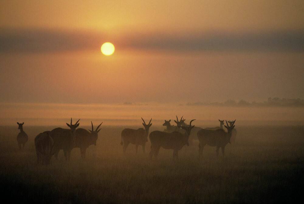 ���� �� 16 ��� ������ ��������� �������� ������� ��������-���� 1 ����