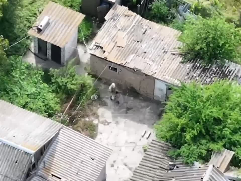 ��������� ����� ���� 126-�� ������� ������ ����