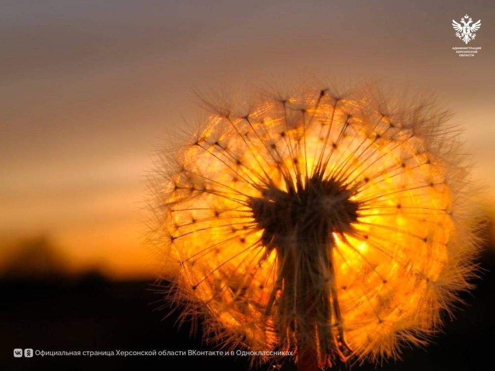 ��������� �����. ���������� � ����� ��������� �� ������� ��������� ����� ����� �������� ��������� �� ���������