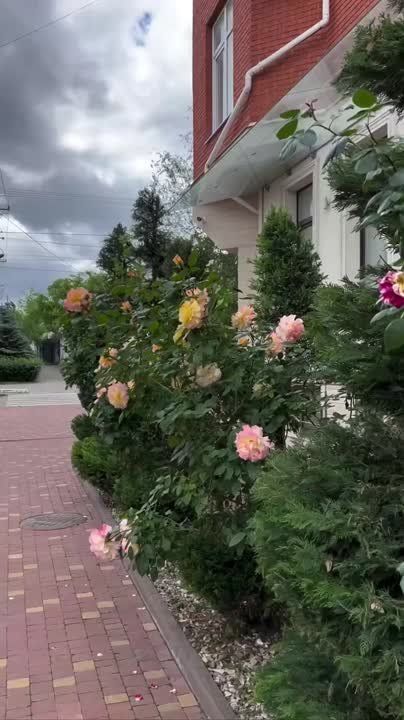 ������ ����, ������!. ��������� �� ������.��