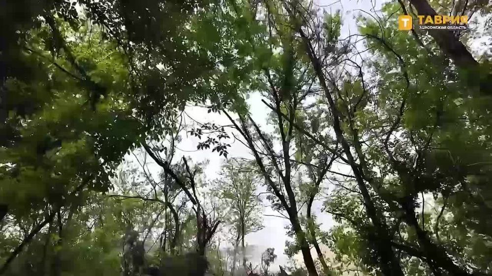 �������������� ������� ������ "�������-�" ���������� ������ � ����� ���������� ���� ��� �� ������ ������ ������ � ���������� �������