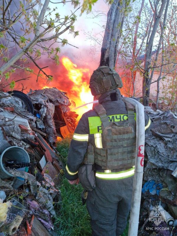 ����������� ���������� �� 29 ��� �� ���������� ���������� �������