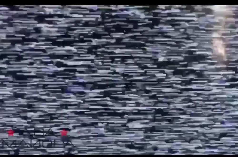 ��� ������: ���������� �����������. ��������� ������ ������������� ���������� � ���������� 61-�� ������� ������� ������ � ����������� ��� �������� �������� ���� ��������