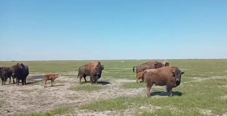 � ���������� ����������� �������� ����� 20 ����� ������