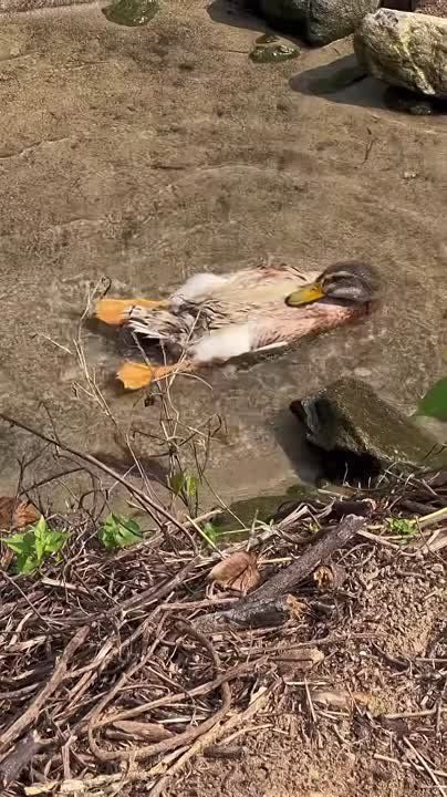 ��������!. ������ ��� ������� ������� �� ���, ��� ������ ��� �����������: ������� ���