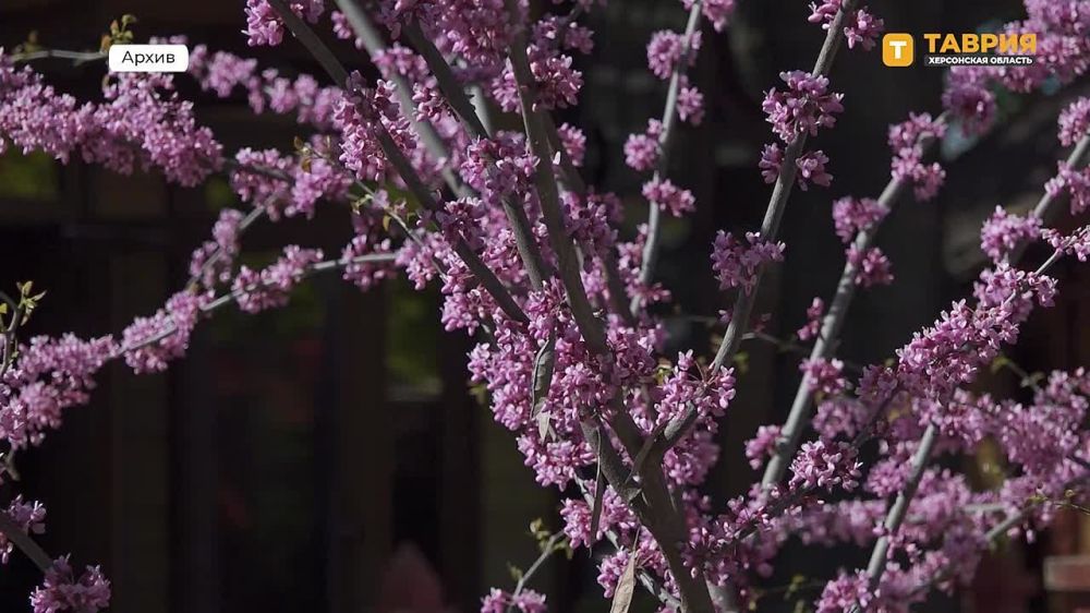 �� ��������� ���������� ��������� ���� ����������� ������� ������������ � ������������� ��������� ������� ��������