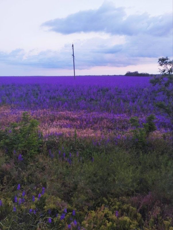 ������ ���� ����!. ����������, ������������� ��������! ������ � ����������� ����� ������ ����� ������� ������� ������� �� �������! sd_kakhovka.khogov.ru