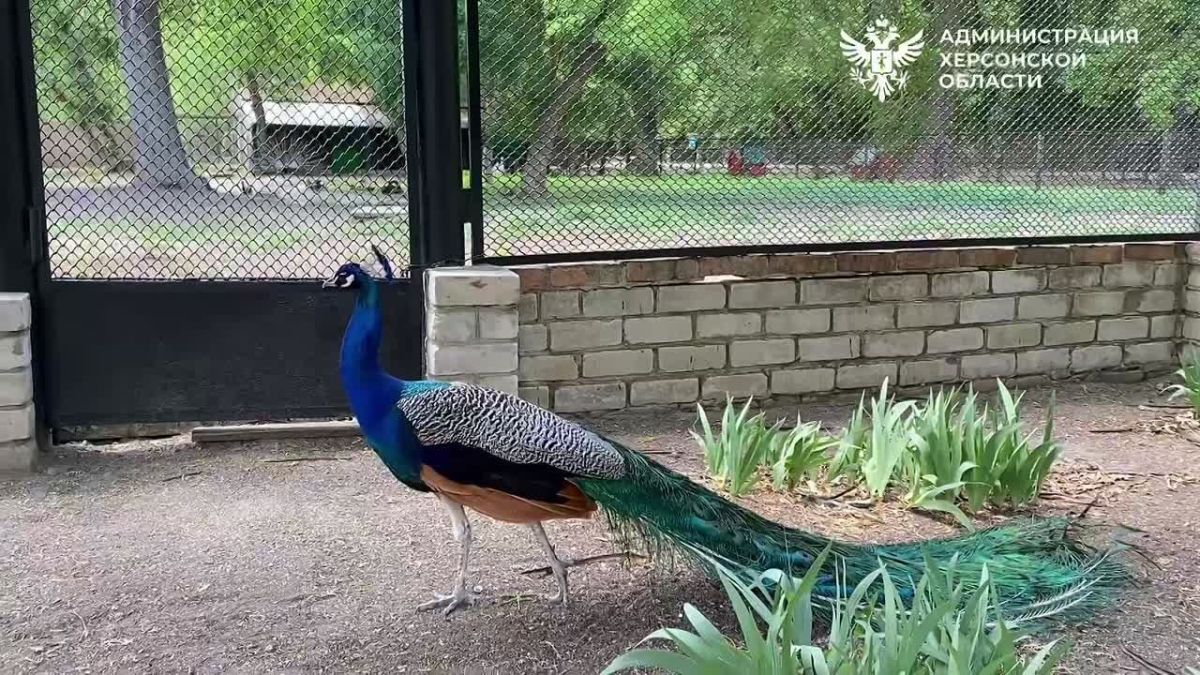 ��������� �� ��������� �������� ���������� ��������-����