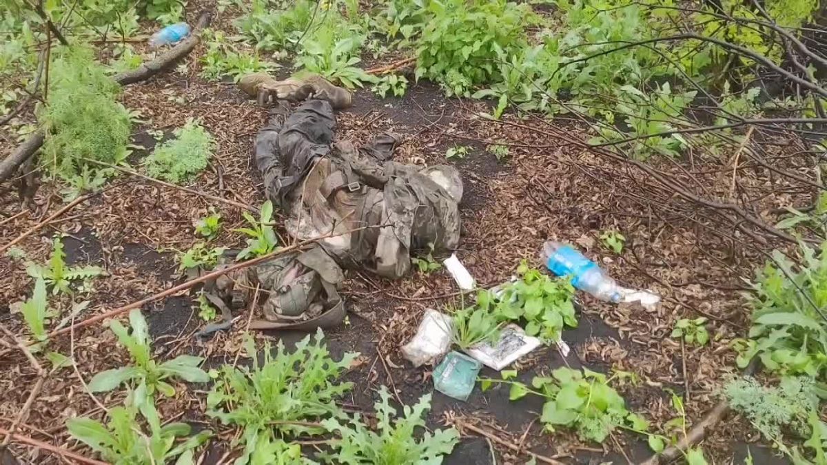 �������� � ������ �����.. ��������-����� ���������� �������