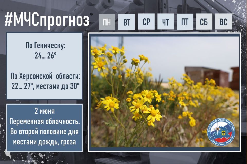 #����������. ���� � ������ �������� ���������: