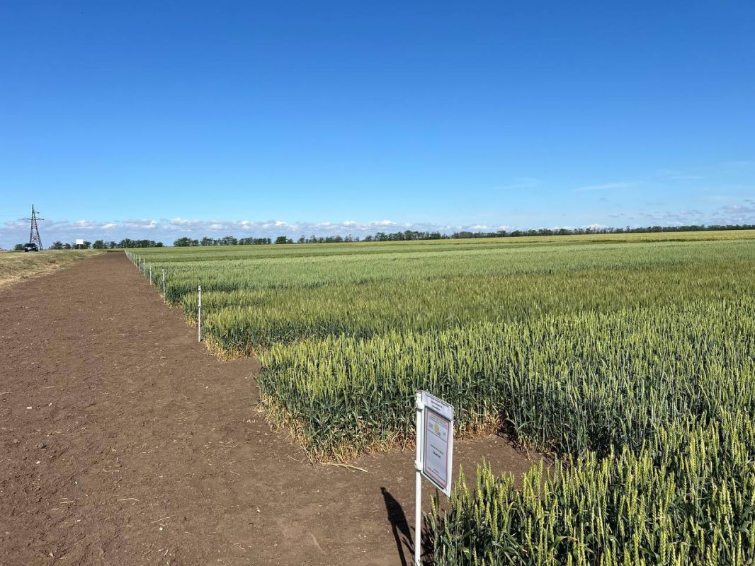 � ���������� ������� ������ ������ �������������������� �������� "���� ����"