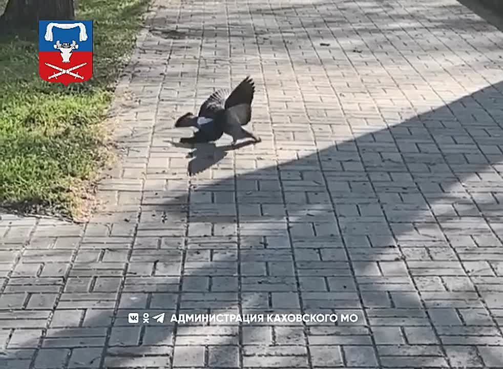 ������ ����, ������ ���������� �������������� ������!