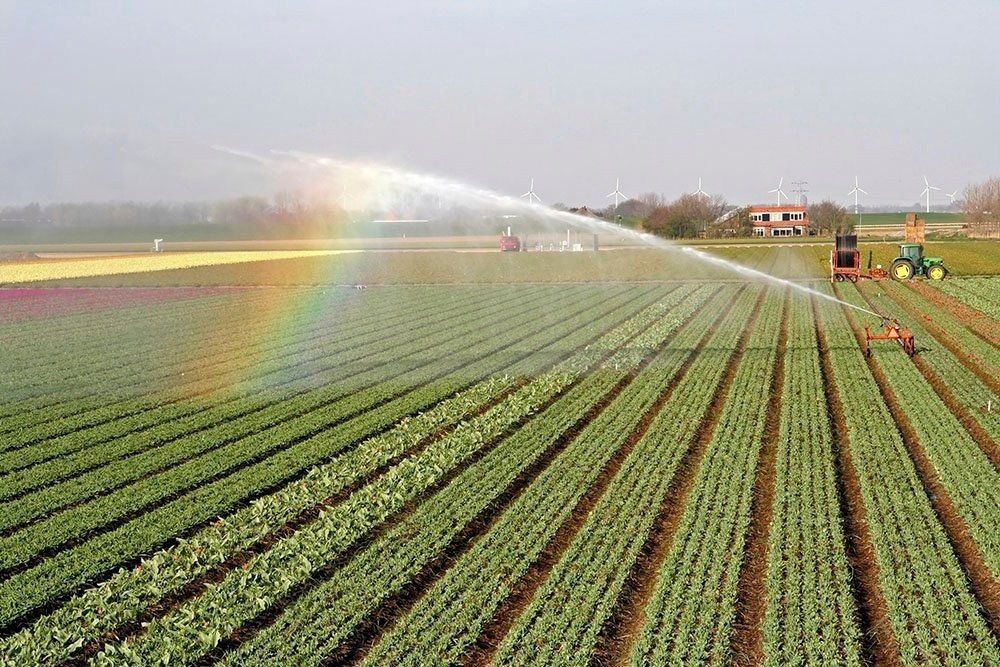 ������� ���������: � ���� �����������. �������� ����������