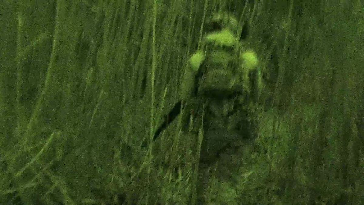 ���� �� �������: �������� ����� ������ ����������������� ������������� �� ������ �� ������ ������