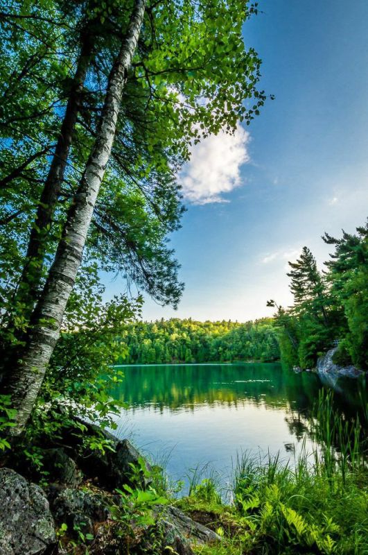 . ���� �� ����� , ������ �������� , ����� � ������� , � �����