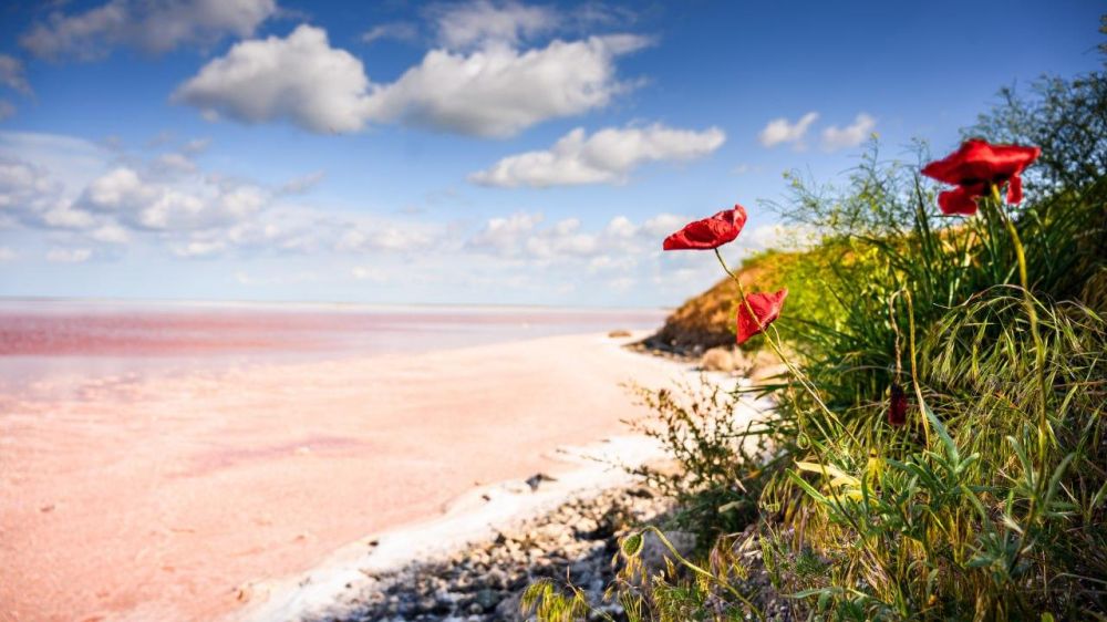 �������� ������: ���������� ����� ������ ������