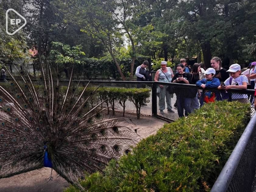 ������� ������� ������������ ��������� � ���������� �������-���� ��� ���������� �� ���������