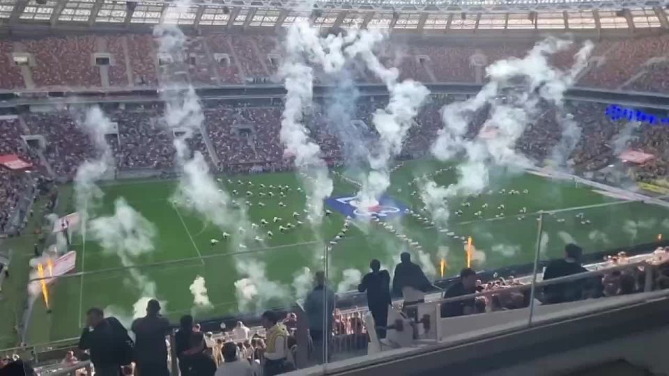 ,    ,    !          ,  ,    