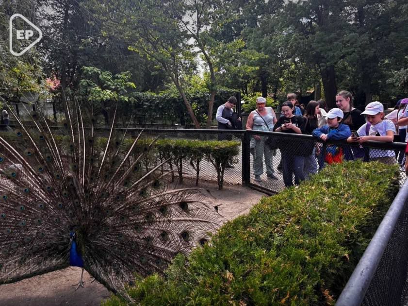 ��� ���������� �� ��������� ���� ������������ ��������� � ���������� �������-����