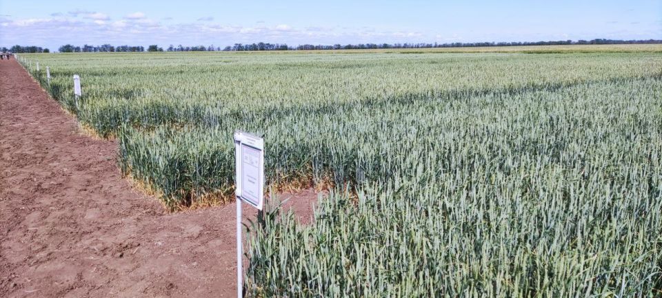 ����� ��������: ������ �������������������� �������� ����� ����� ������ � ���������� ������� � ���� ���������� ���������� �������������� ������