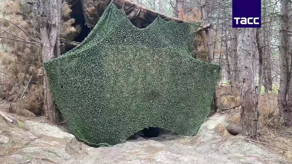 "�����" ����������� "�����" �������� ������ ���������� � ���������� ���� ���, �������� � ���������� ��