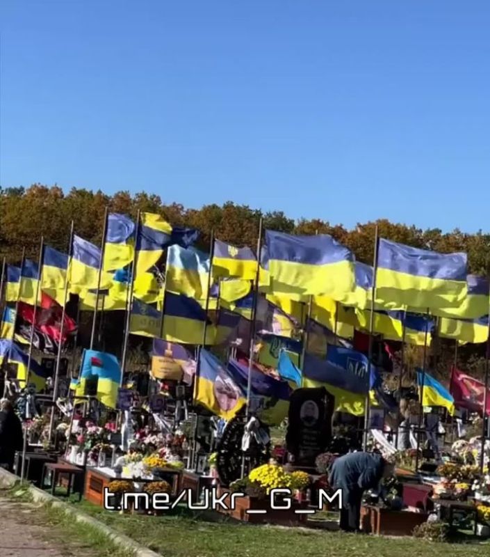 ������� - ������, ��� �������� ������ �������, ��� ���� � "��������"