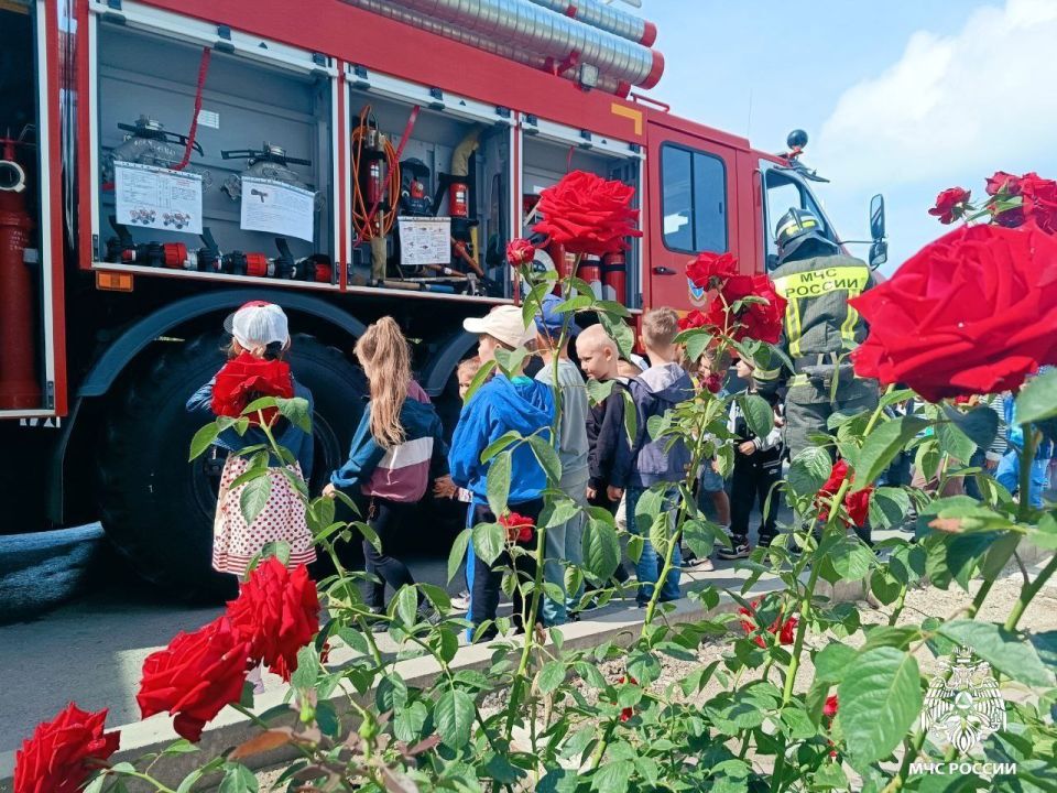 ���������� ��������: 5 ������ ���