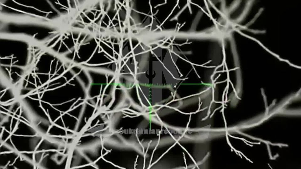 ����� ��������� ��. ������� ��������� ���������� ���������� ������� ���������� �� ��������������� ����������� ��������� � �� ��